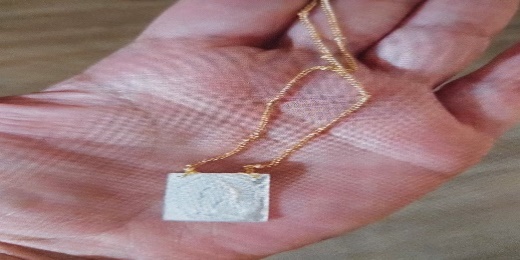 Zarcillo Largo Chapita