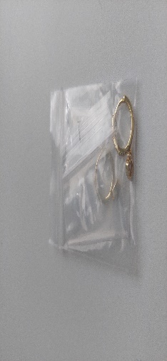 Zarcillo 1 Estrella Circon Y 1 Plane