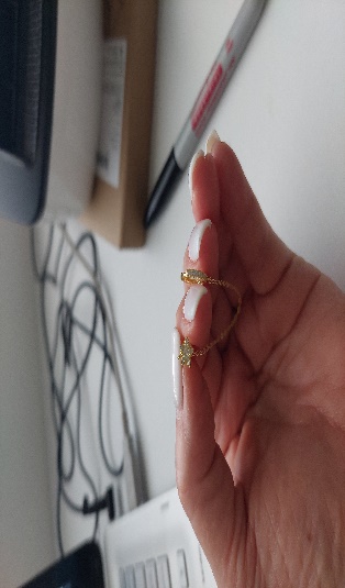 Zarcillos Circulo Circon Cadena